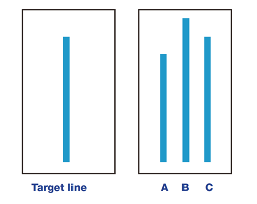 Asch Conformity Experiment