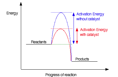 Catalyst Effect on Activation Energy