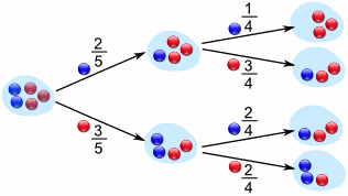 Tree Diagram